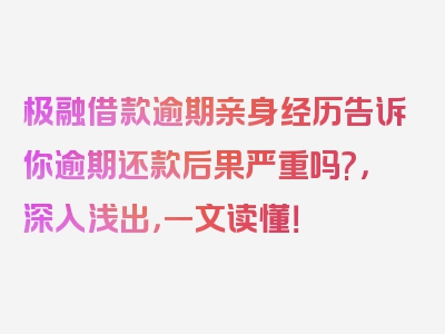 极融借款逾期亲身经历告诉你逾期还款后果严重吗?，深入浅出，一文读懂！