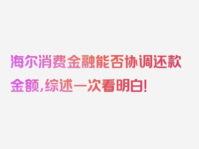 海尔消费金融能否协调还款金额，综述一次看明白！