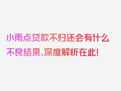 小雨点贷款不归还会有什么不良结果，深度解析在此！