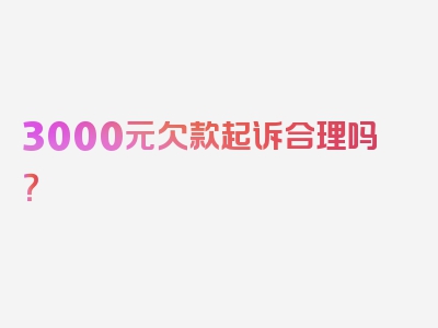 3000元欠款起诉合理吗？