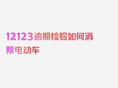 12123逾期检验如何消除电动车