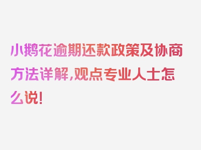 小鹅花逾期还款政策及协商方法详解，观点专业人士怎么说！