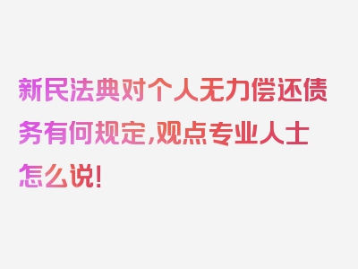 新民法典对个人无力偿还债务有何规定，观点专业人士怎么说！