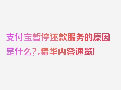 支付宝暂停还款服务的原因是什么?，精华内容速览！