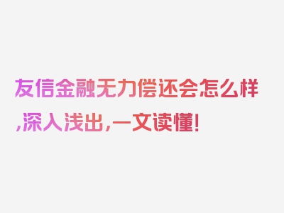 友信金融无力偿还会怎么样，深入浅出，一文读懂！