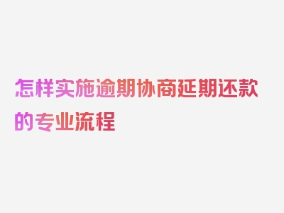 怎样实施逾期协商延期还款的专业流程