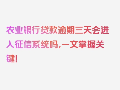 农业银行贷款逾期三天会进入征信系统吗，一文掌握关键！