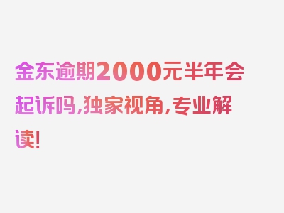 金东逾期2000元半年会起诉吗，独家视角，专业解读！