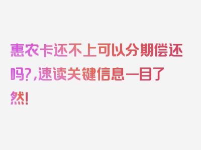 惠农卡还不上可以分期偿还吗?，速读关键信息一目了然！