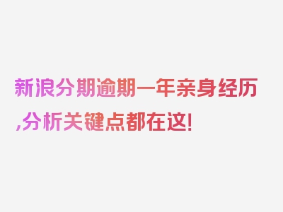 新浪分期逾期一年亲身经历，分析关键点都在这！