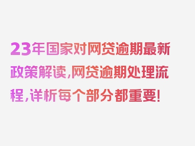 23年国家对网贷逾期最新政策解读,网贷逾期处理流程，详析每个部分都重要！