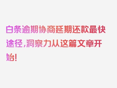 白条逾期协商延期还款最快途径，洞察力从这篇文章开始！