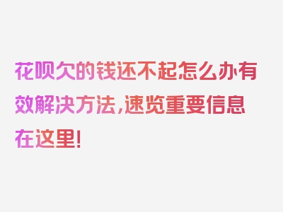 花呗欠的钱还不起怎么办有效解决方法，速览重要信息在这里！