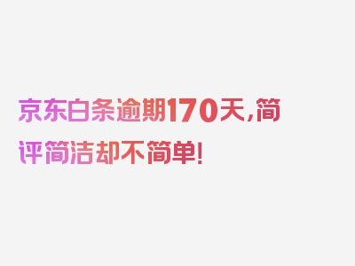 京东白条逾期170天，简评简洁却不简单！