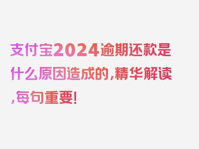 支付宝2024逾期还款是什么原因造成的，精华解读，每句重要！