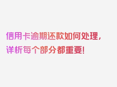 信用卡逾期还款如何处理，详析每个部分都重要！