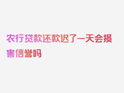 农行贷款还款迟了一天会损害信誉吗