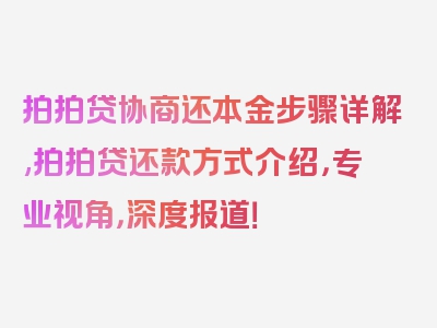 拍拍贷协商还本金步骤详解,拍拍贷还款方式介绍，专业视角，深度报道！