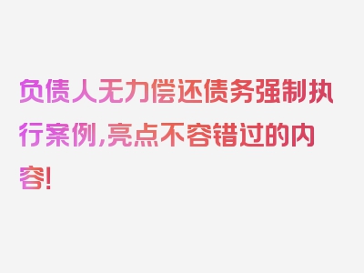 负债人无力偿还债务强制执行案例，亮点不容错过的内容！