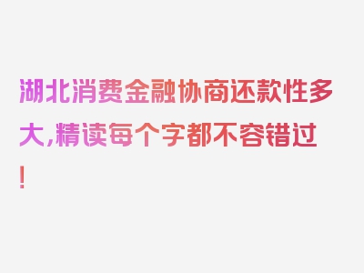 湖北消费金融协商还款性多大，精读每个字都不容错过！