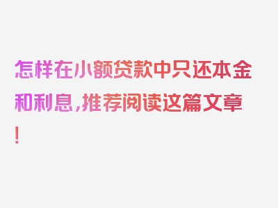 怎样在小额贷款中只还本金和利息，推荐阅读这篇文章！