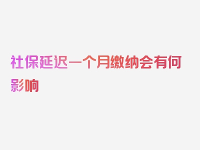 社保延迟一个月缴纳会有何影响