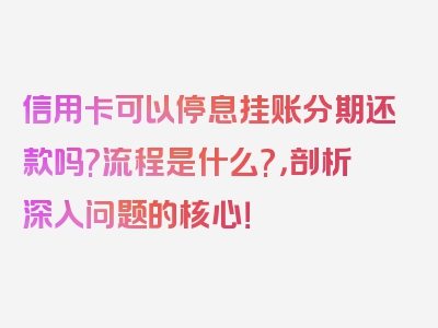 信用卡可以停息挂账分期还款吗?流程是什么?，剖析深入问题的核心！