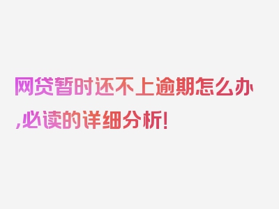 网贷暂时还不上逾期怎么办，必读的详细分析！