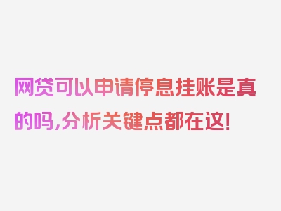 网贷可以申请停息挂账是真的吗，分析关键点都在这！