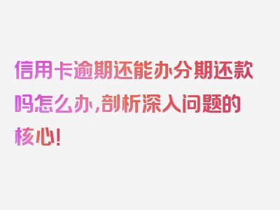 信用卡逾期还能办分期还款吗怎么办，剖析深入问题的核心！