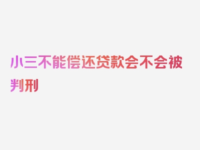 小三不能偿还贷款会不会被判刑