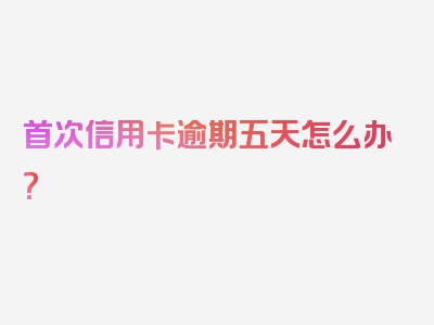 首次信用卡逾期五天怎么办？