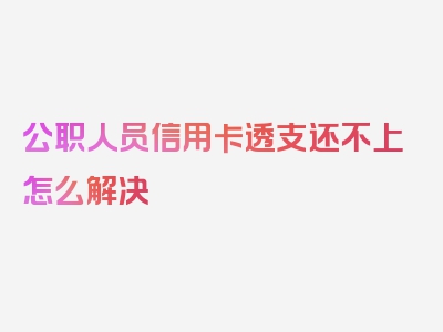 公职人员信用卡透支还不上怎么解决