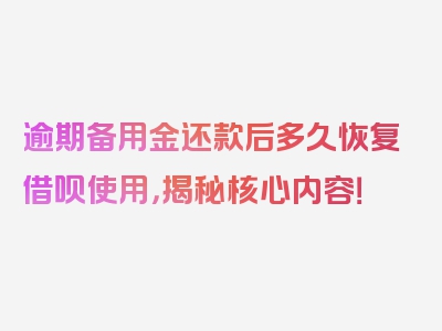 逾期备用金还款后多久恢复借呗使用，揭秘核心内容！