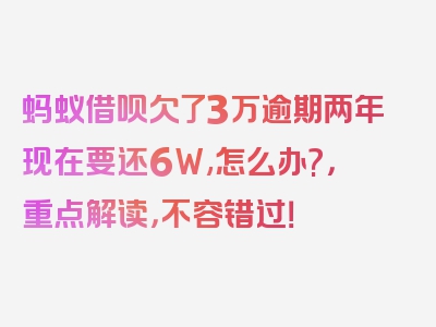 蚂蚁借呗欠了3万逾期两年现在要还6W,怎么办?，重点解读，不容错过！