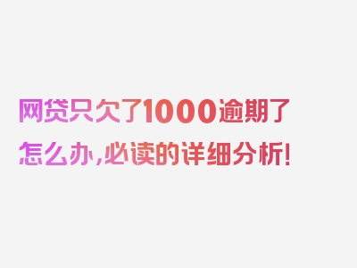 网贷只欠了1000逾期了怎么办，必读的详细分析！