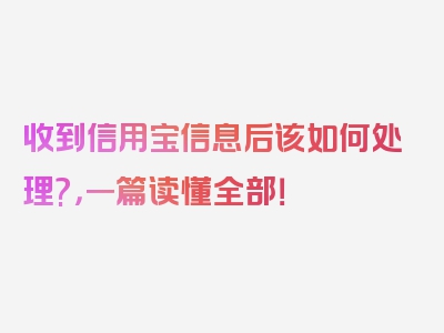 收到信用宝信息后该如何处理?，一篇读懂全部！