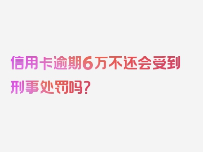 信用卡逾期6万不还会受到刑事处罚吗？