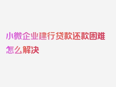 小微企业建行贷款还款困难怎么解决