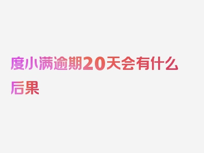 度小满逾期20天会有什么后果