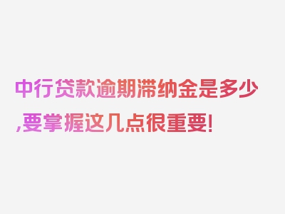 中行贷款逾期滞纳金是多少，要掌握这几点很重要！