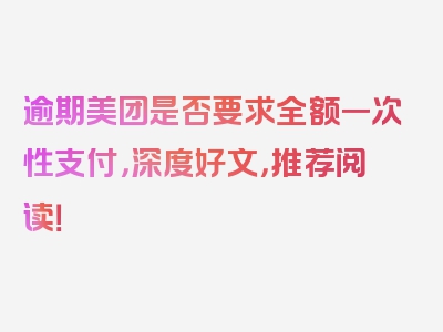 逾期美团是否要求全额一次性支付，深度好文，推荐阅读！