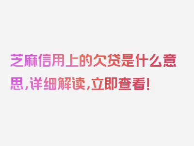 芝麻信用上的欠贷是什么意思，详细解读，立即查看！