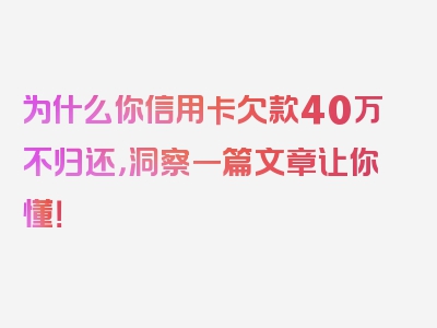 为什么你信用卡欠款40万不归还，洞察一篇文章让你懂！