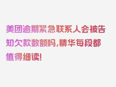 美团逾期紧急联系人会被告知欠款数额吗，精华每段都值得细读！