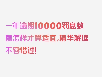 一年逾期10000罚息数额怎样才算适宜，精华解读不容错过！