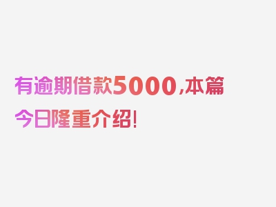 有逾期借款5000，本篇今日隆重介绍!