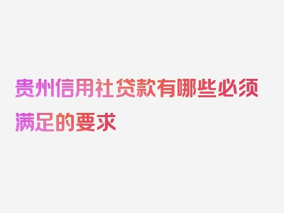 贵州信用社贷款有哪些必须满足的要求