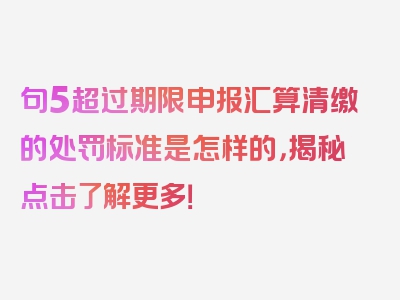 句5超过期限申报汇算清缴的处罚标准是怎样的，揭秘点击了解更多！