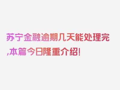 苏宁金融逾期几天能处理完，本篇今日隆重介绍!